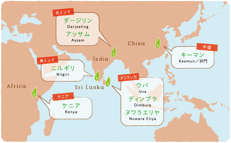 紅茶の代表的な産地を記した、アフリカ大陸東岸からインド・スリランカ・中国までを含んだ世界地図です。地図中の各産地の地名は、クリッカブルマップになっており、それぞれの説明へリンクしています。