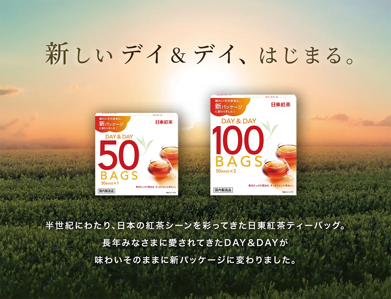 �V�����f�C���f�C�A�͂��܂�