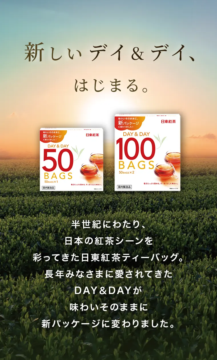 �V�����f�C���f�C�A�͂��܂�